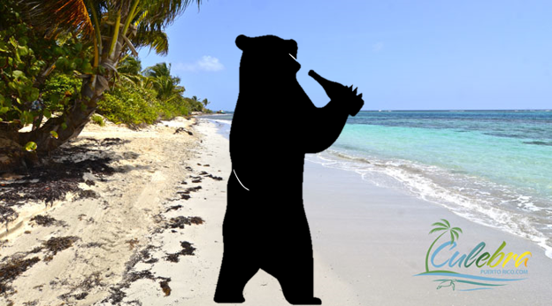 Bruno's Bar: The (Cheaper) Painkiller Cocktail