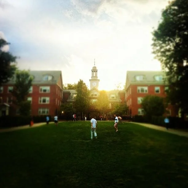 How to decide which green to lounge on