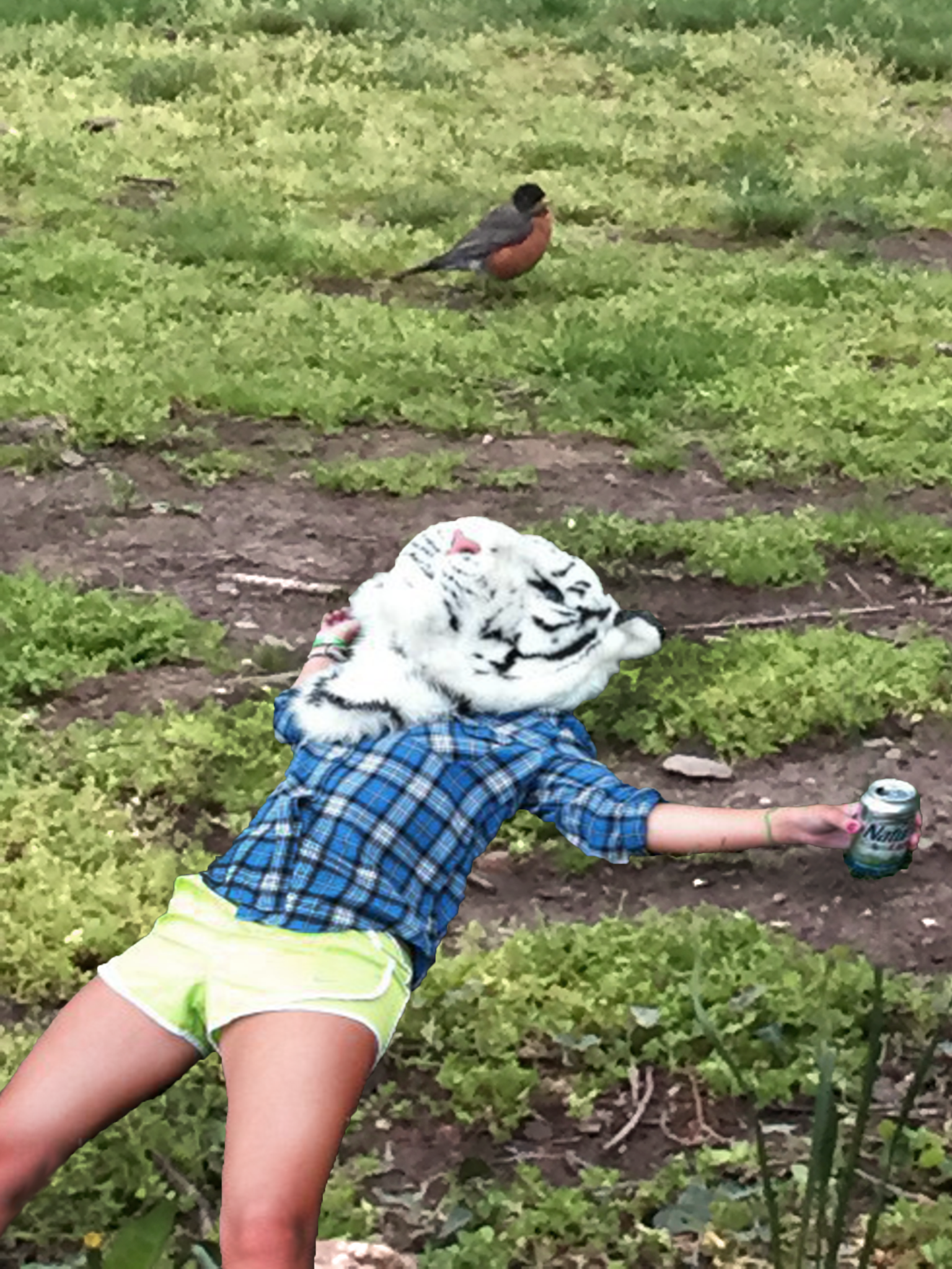 Bird-watching at 6 a.m.