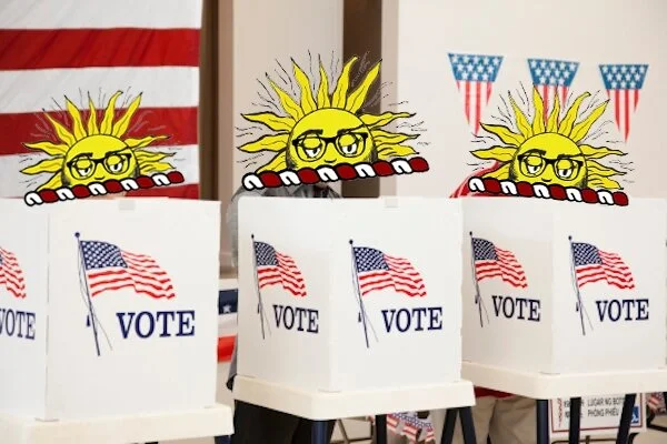 Civics 101: How to vote