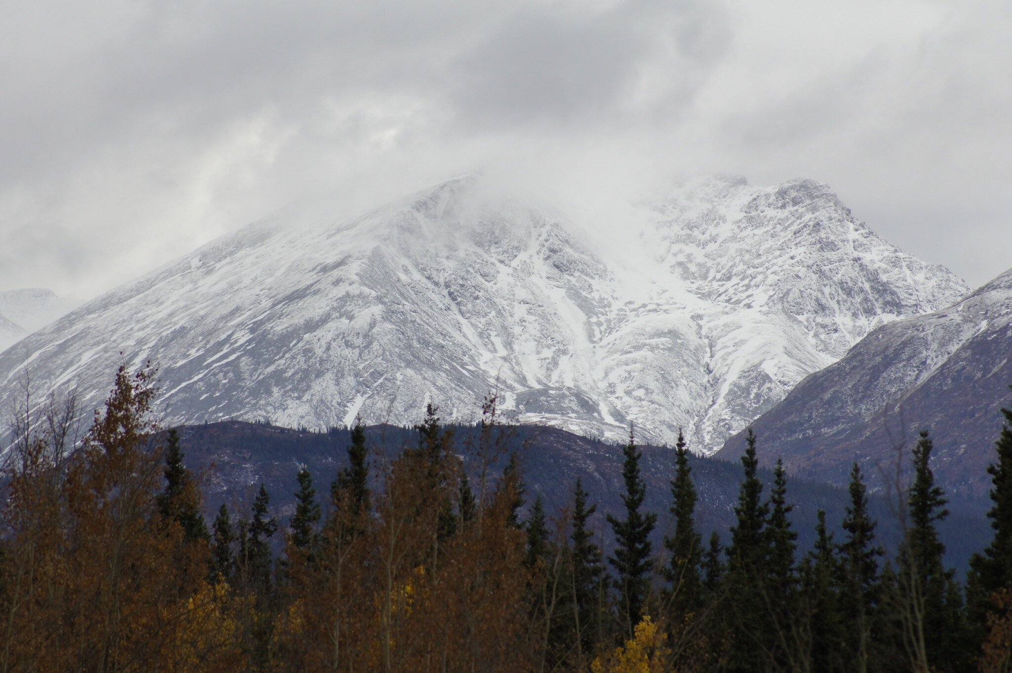 Professor Demuth on Mushing Huskies, Living in the Arctic