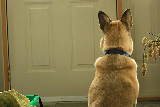 6 Things to Do When Waiting For Your Friend To Let You Into the Party