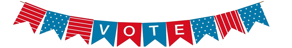 How to vote in your state primary