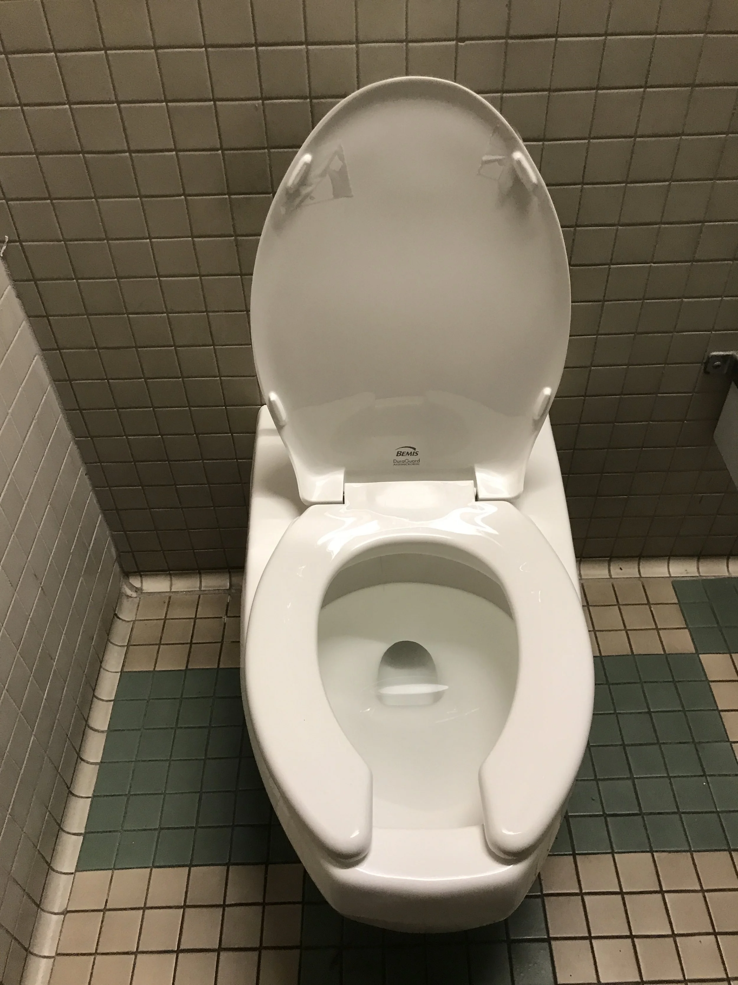 I shit you not: the terrifying ordeal of being perceived