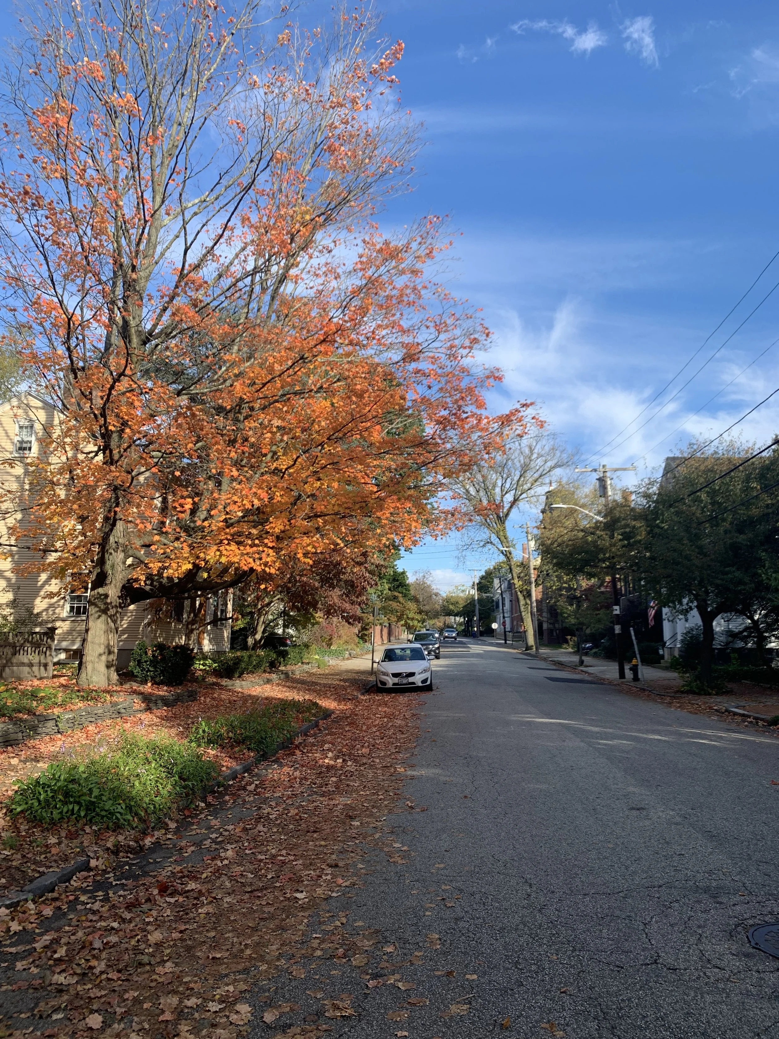 fuck, it’s nice here