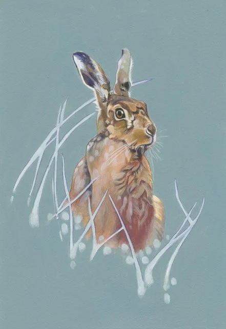 Hare.jpg