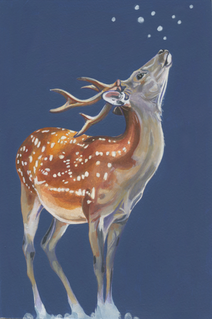 Deer.png