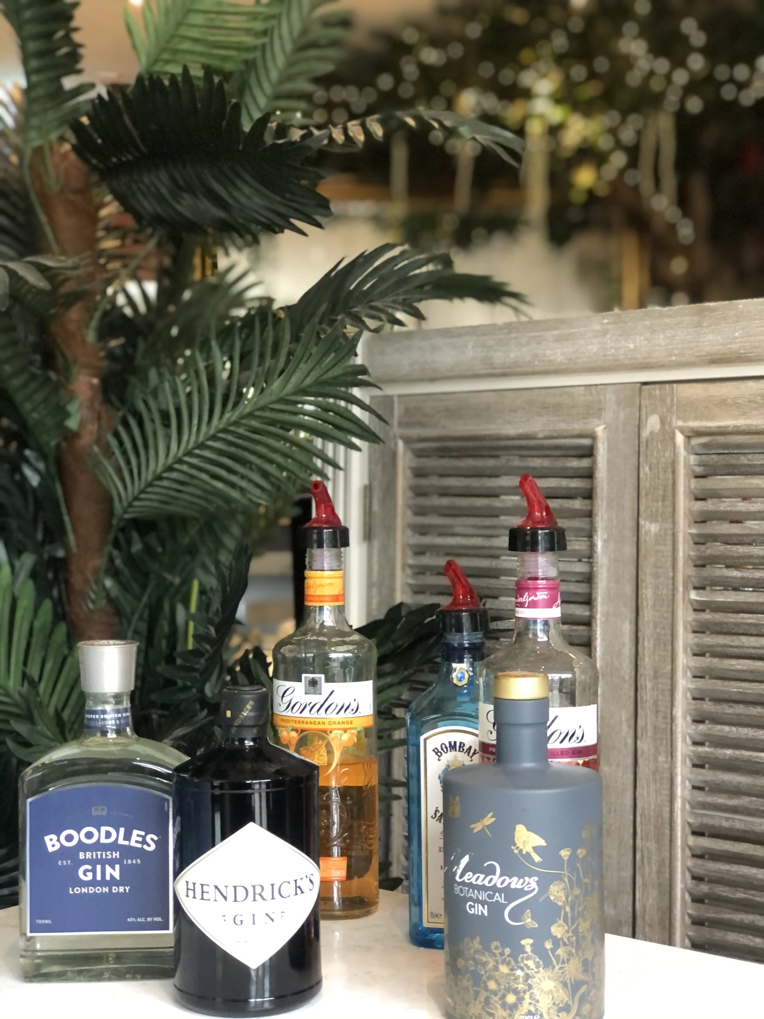 Assorted gin bottles on a table, with a green plant and a wooden cabinet in the background.