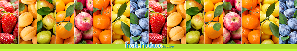 main 001_reduced.png