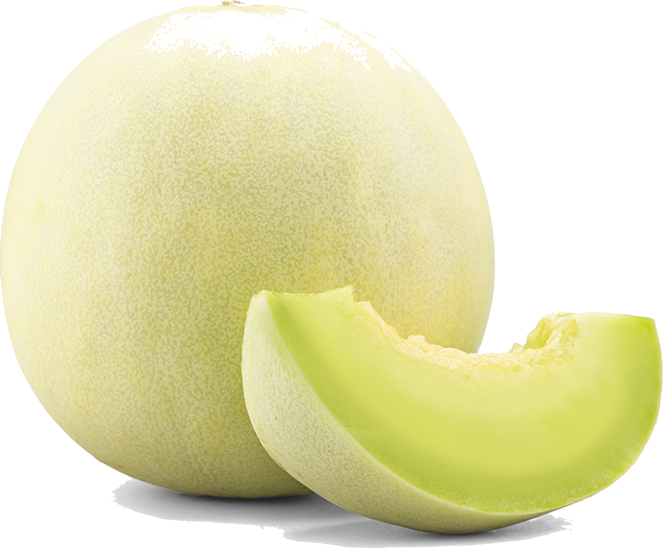 edited_sp_honeydew.jpeg