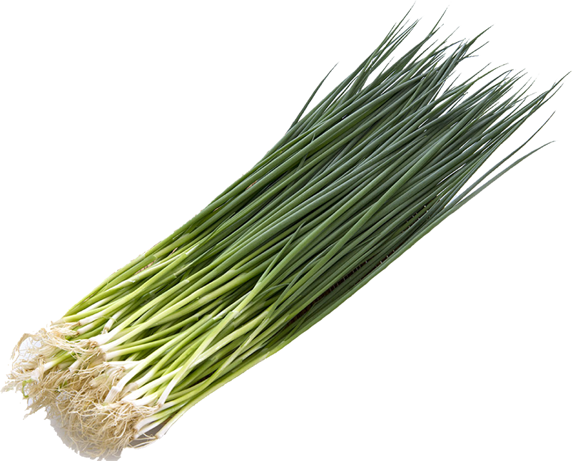 edited_sp_chive konegi.png