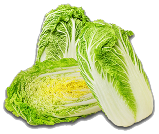 edited_sp_chinese cabbage.png