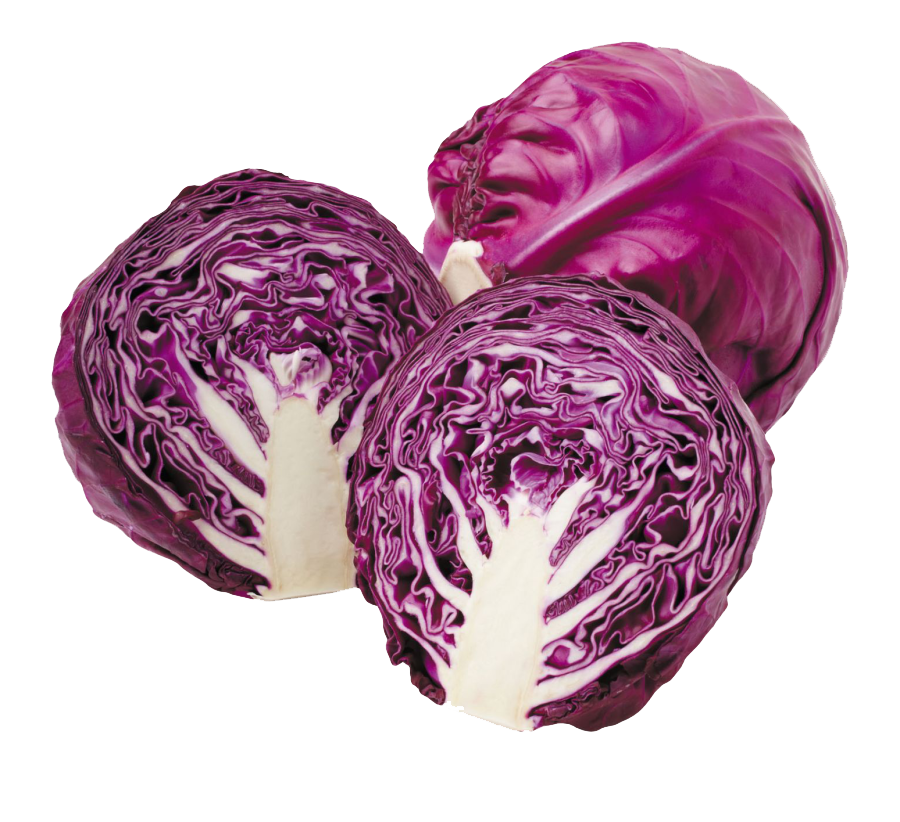 edited_sp_red cabbage.png