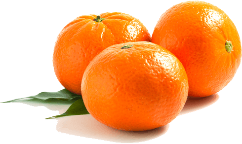TANGERINE MURCOTT EDITED.png
