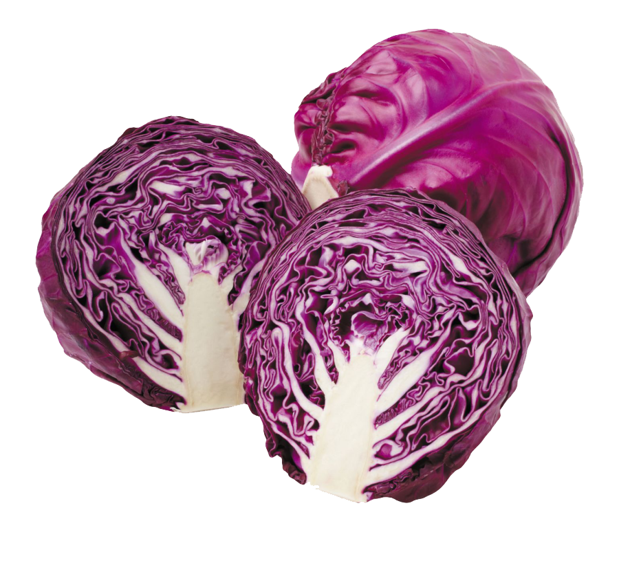 edited_sp_red cabbage.png