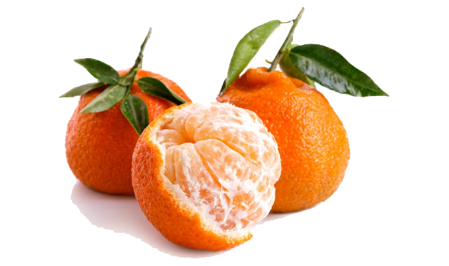 MIKAN CITRUS 2 EDITED.png