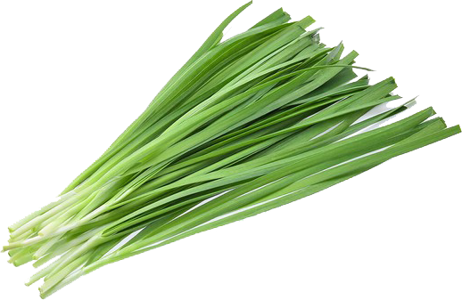 edited_sp_nira chive.png