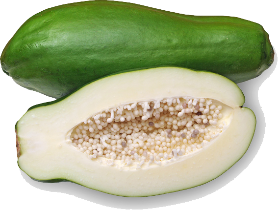 edited_sp_green papaya.png