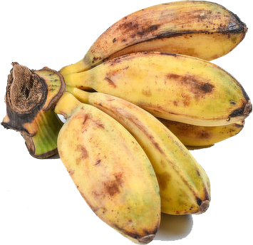BANANA SABA EDITED.png