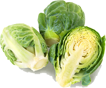 edited_sp_brussels sprout.png