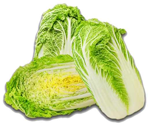 edited_sp_chinese cabbage.png