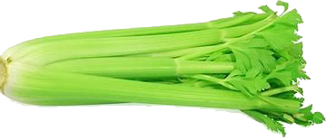 CELERY EDITED 2.png