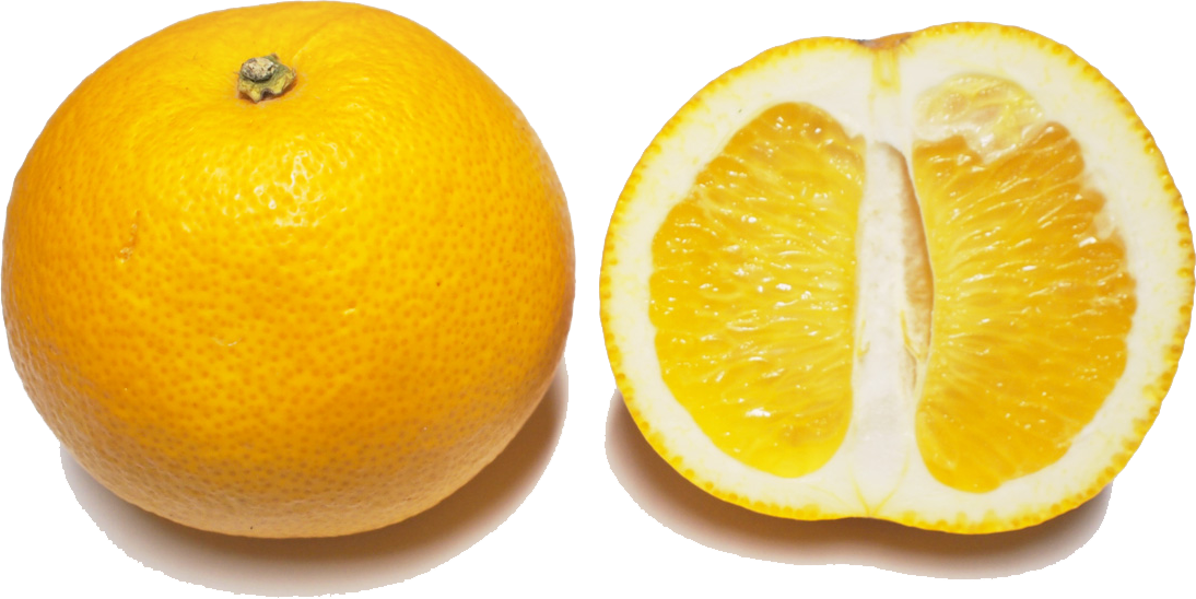 CITRUS HASSAKU EDITED.png