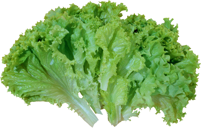 edited_sp_lettuce green leaf.png