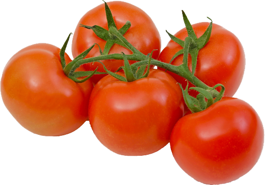 edited_sp_tomato on vine.png