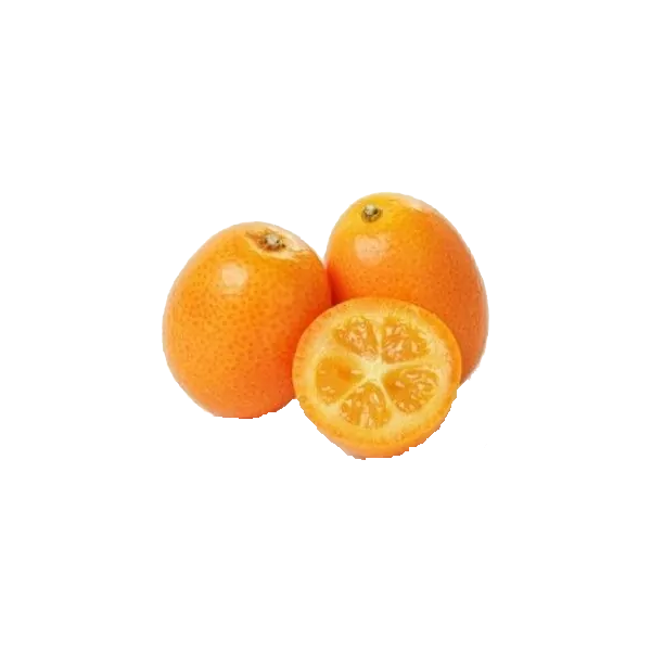 KUMQUAT EDITED.png