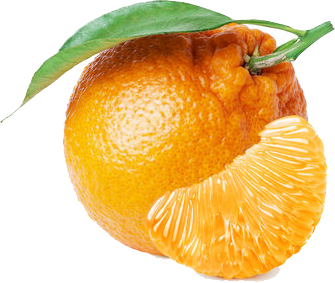 HALLABONG CITRUS EDITED.png