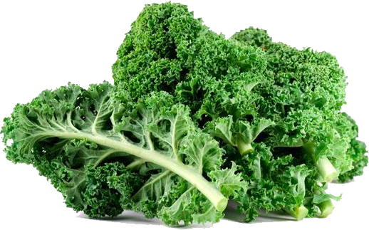 CURLY KALE EDITED.png