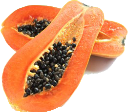 MELON PAPAYA EDITED.png