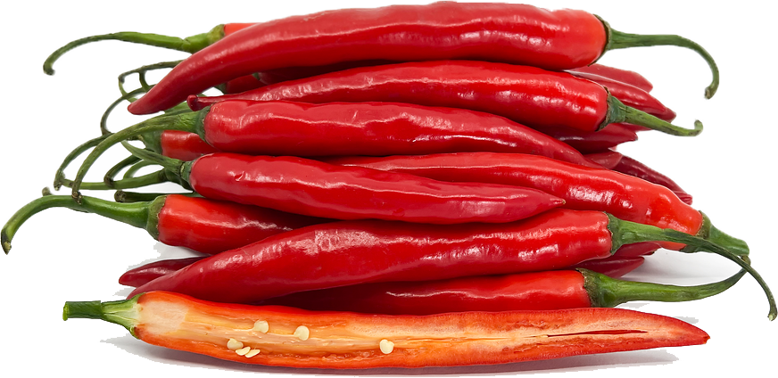 pepper red chili edited.png