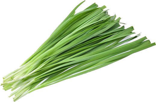 edited_sp_nira chive.png