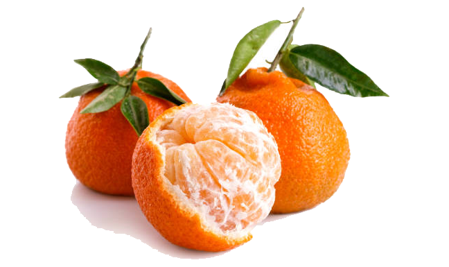 MIKAN CITRUS 2 EDITED.png