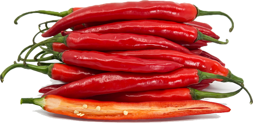 pepper red chili edited.png