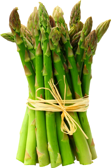 edited_sp_asparagus.png