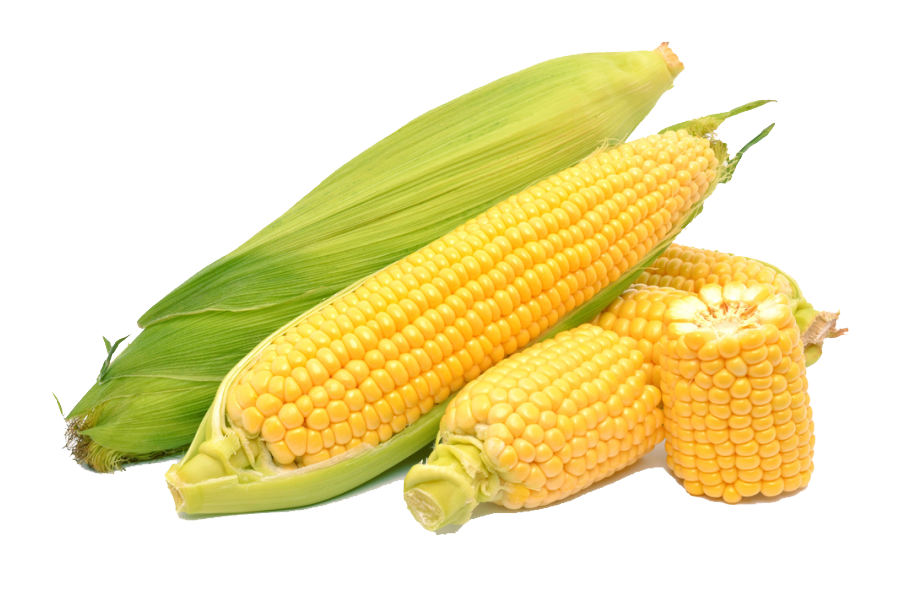 edited_sp_yellow corn.png
