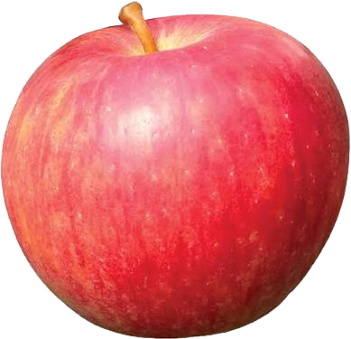 KORU APPLE EDITED.png