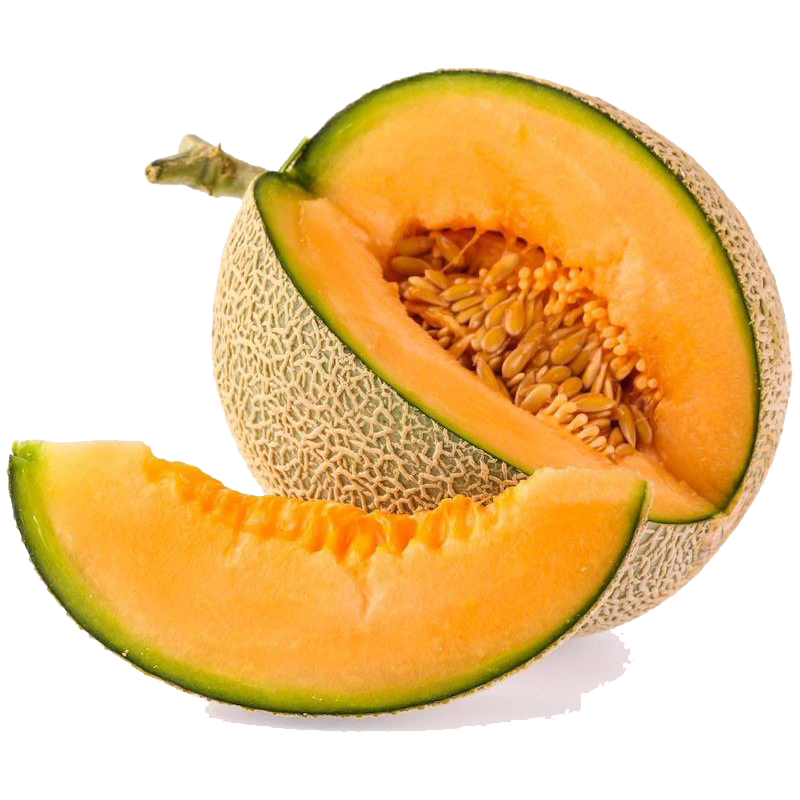 MUSKMELON EDITED 4.png