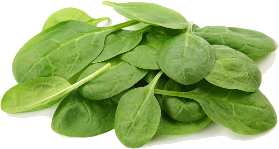 SPINACH GREEN LOCAL EDITED.png