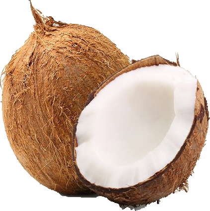 COCONUT FRESH BROWN 1.png