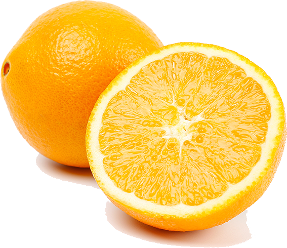 edited_sp_navel orange.png