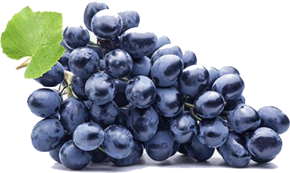 edited_sp_black seedless grapes.png