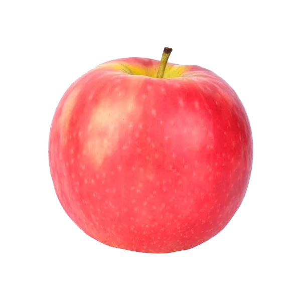 APPLE PINK LADY EDITED2.png