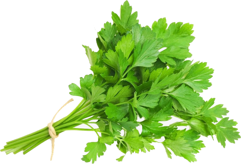 edited_sp_italian parsley.png