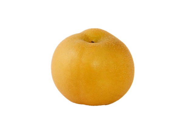 asian pear.png