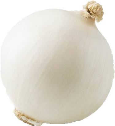 ONION WHITE EDITED.png