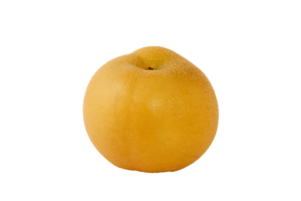 asian pear.png